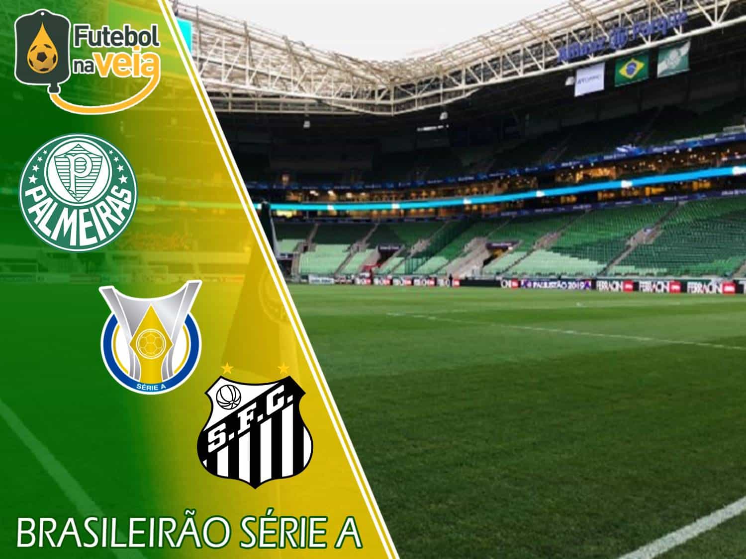 Palmeiras esporte 123861